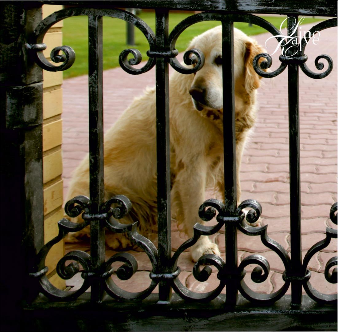 GATES, FENCE, LIGHTS.